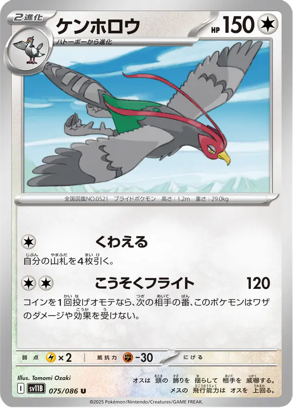 Carta ケンホロウ 075/174 de ブラックボルト
