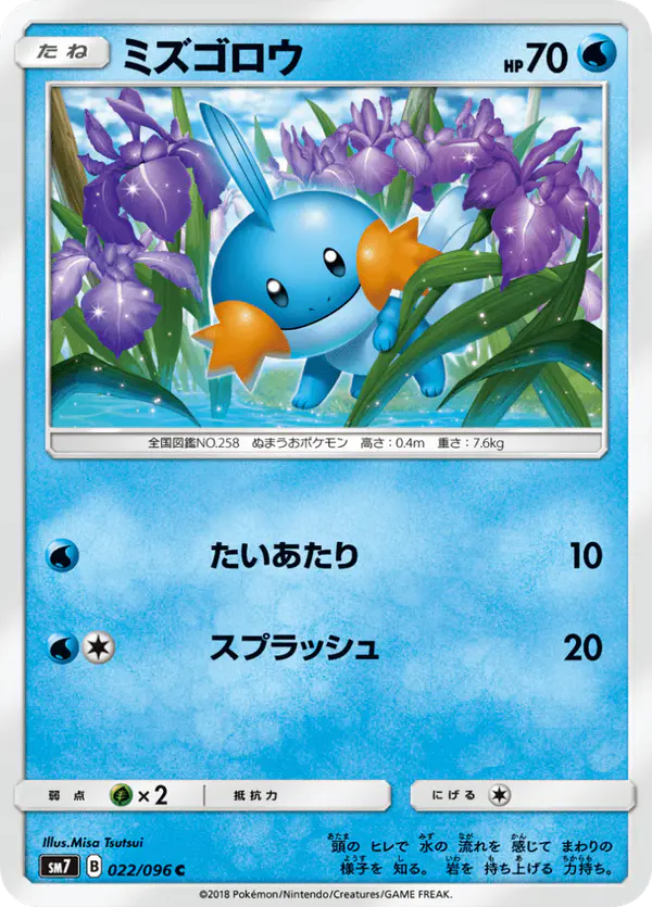 Carta ミズゴロウ 022/096 de 裂空のカリスマ