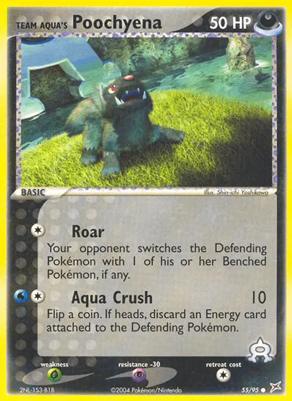 Carta Team Aqua's Poochyena 55/95 de Team Magma vs Team Aqua