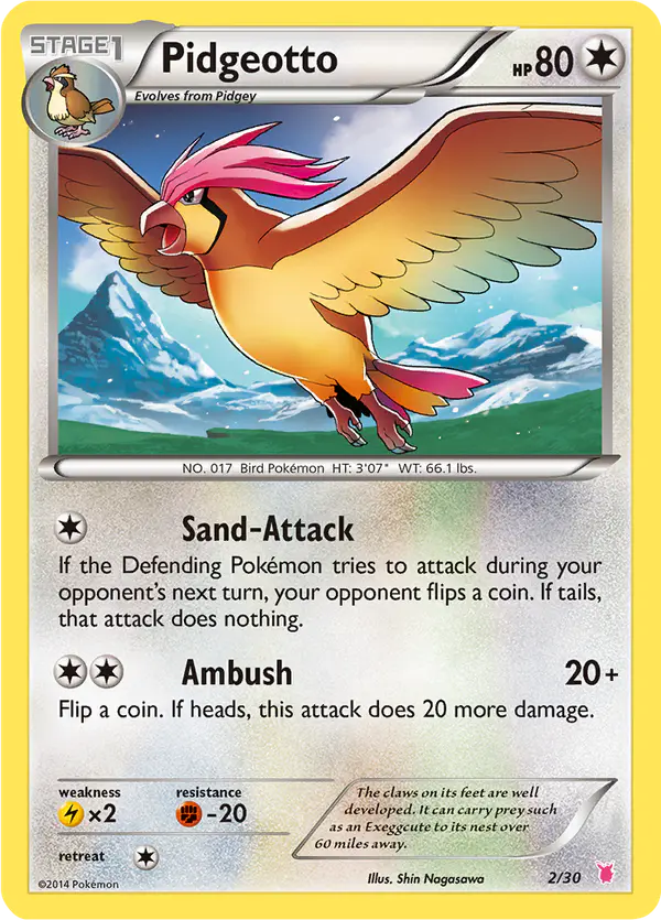 Carta Pidgeotto 2/30 de XY trainer Kit (Wigglytuff)