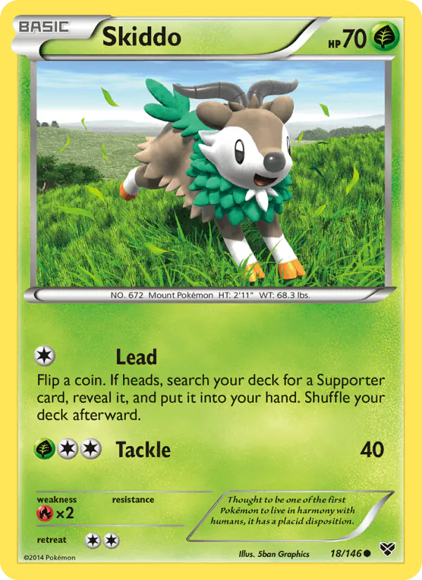 Carta Skiddo 18/146 de XY